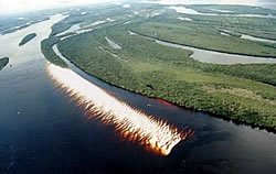 Fotos: Associação Amazonense de Municípios
